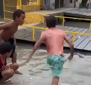 Levado
