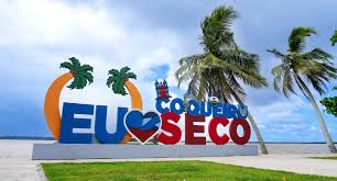 Coqueiro seco