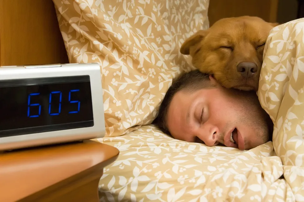 dormir com pet