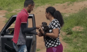 Resgate de cães em dois Riachos