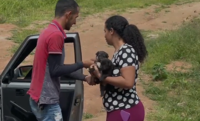 Resgate de cães em dois Riachos